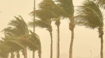 طقس متقلب.. الأرصاد تحذر من حالة الملاحة بالبحر المتوسط مع ارتفاع درجات الحرارة بمصر